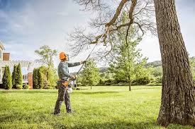 Best Lawn Disease Treatment  in Wellsville, KS