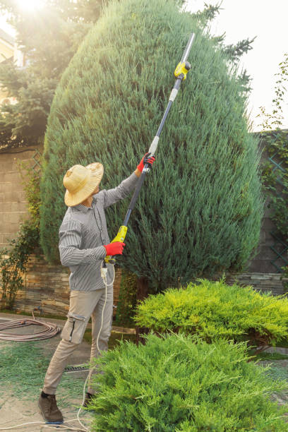 Best Tree Mulching  in Wellsville, KS